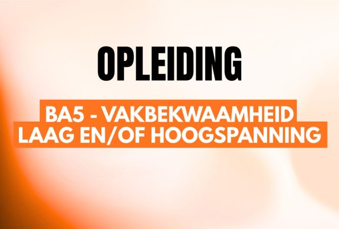 flenzen - elektrische veiligheid - elektrische veiligheid - BA5 - vakbekwaamheid laag en_of hoogspanning
