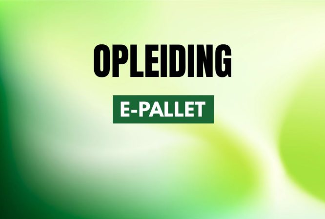 lastenverplaatsen-e-pallet