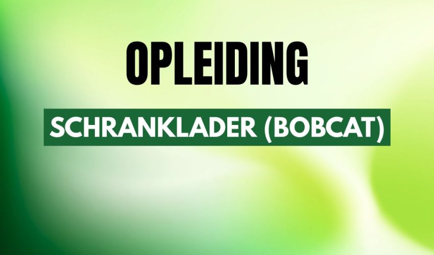 lastenverplaatsen-grondverzetmachines-schranklader (bobcat)