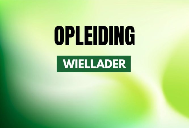 lastenverplaatsen-grondverzetmachines-wiellader