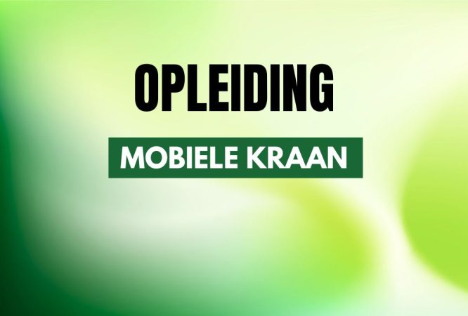 lastenverplaatsen-mobiele kraan