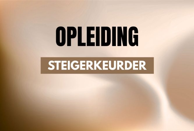 risicovolle taken - steigerkeurder