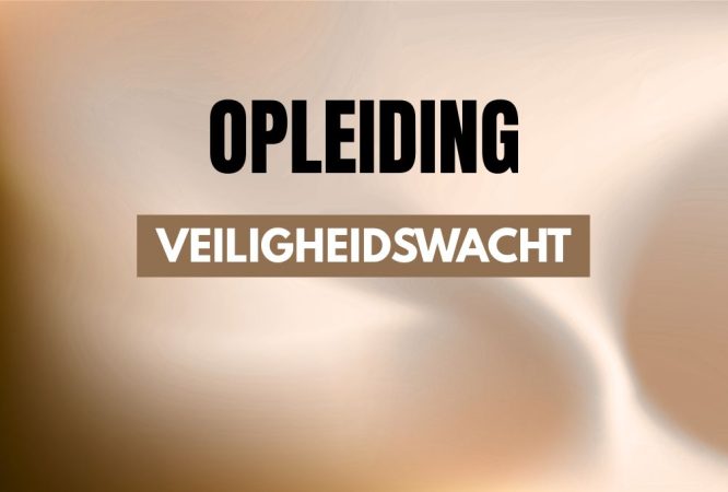 risicovolle taken - veiligheidswacht